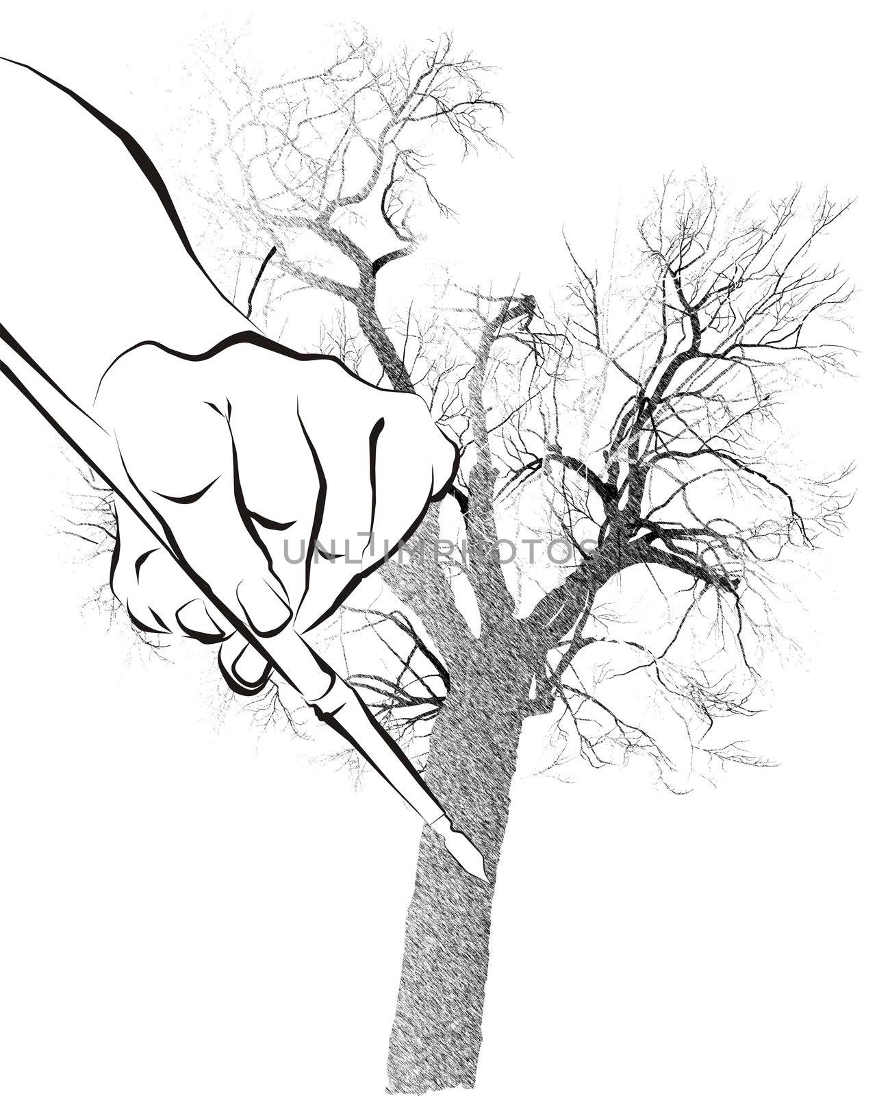 hand with a pen to draw a tree