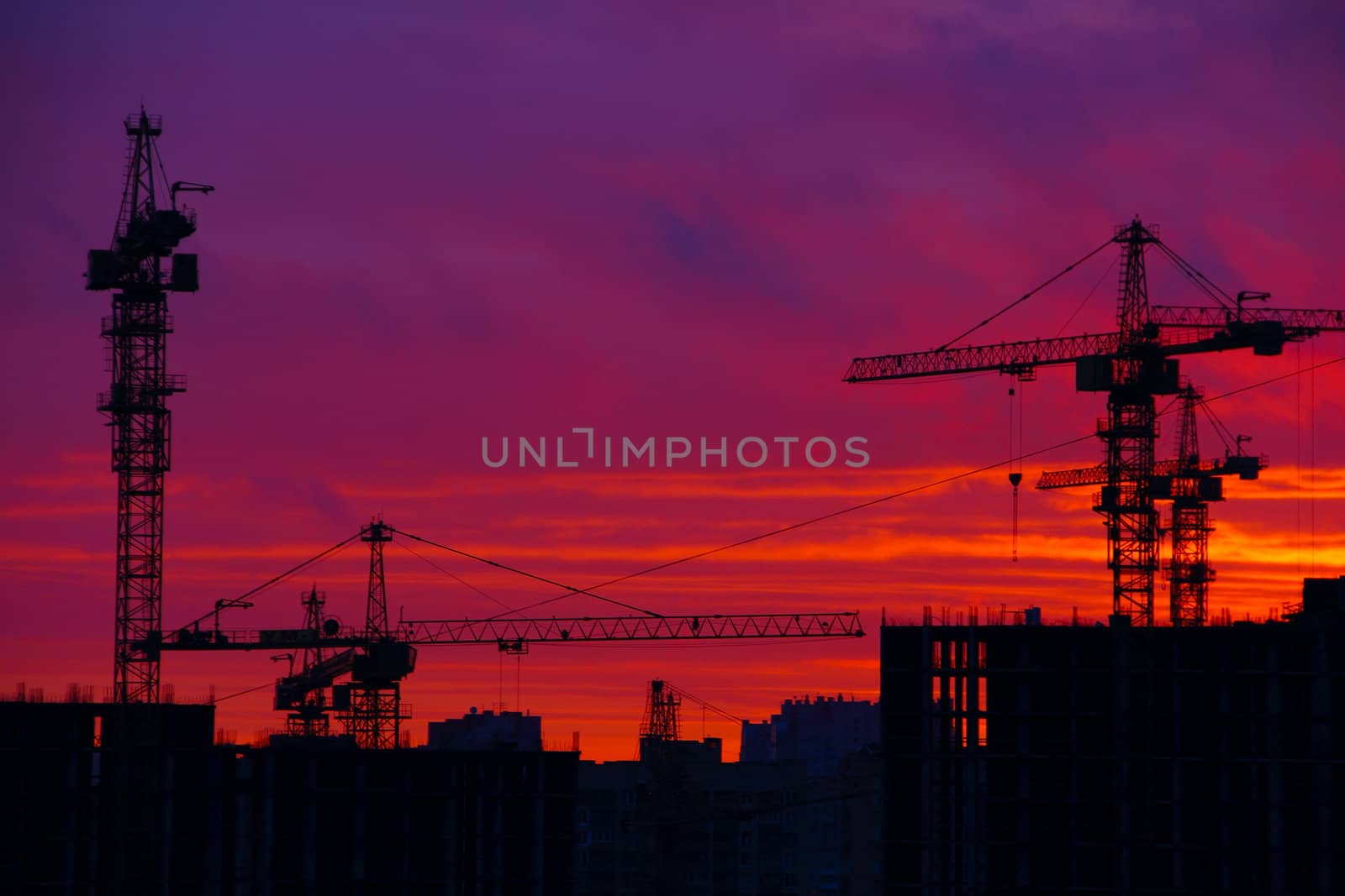 Silhouette of cranes on sunset sky background