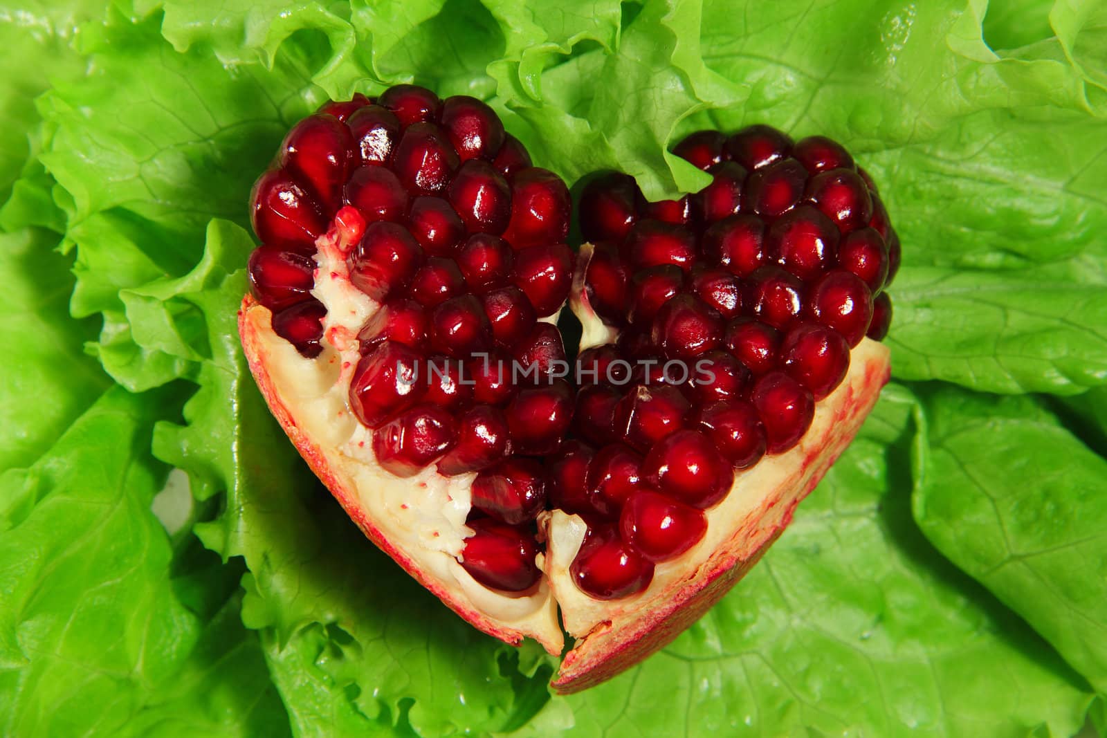 Pomegranate heart on lettuce by destillat