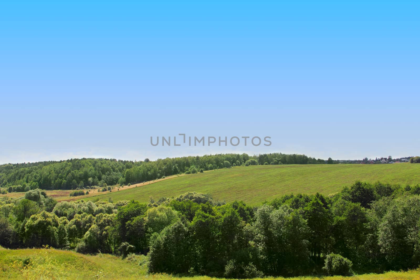 Beautiful summer landscape with meadows and trees