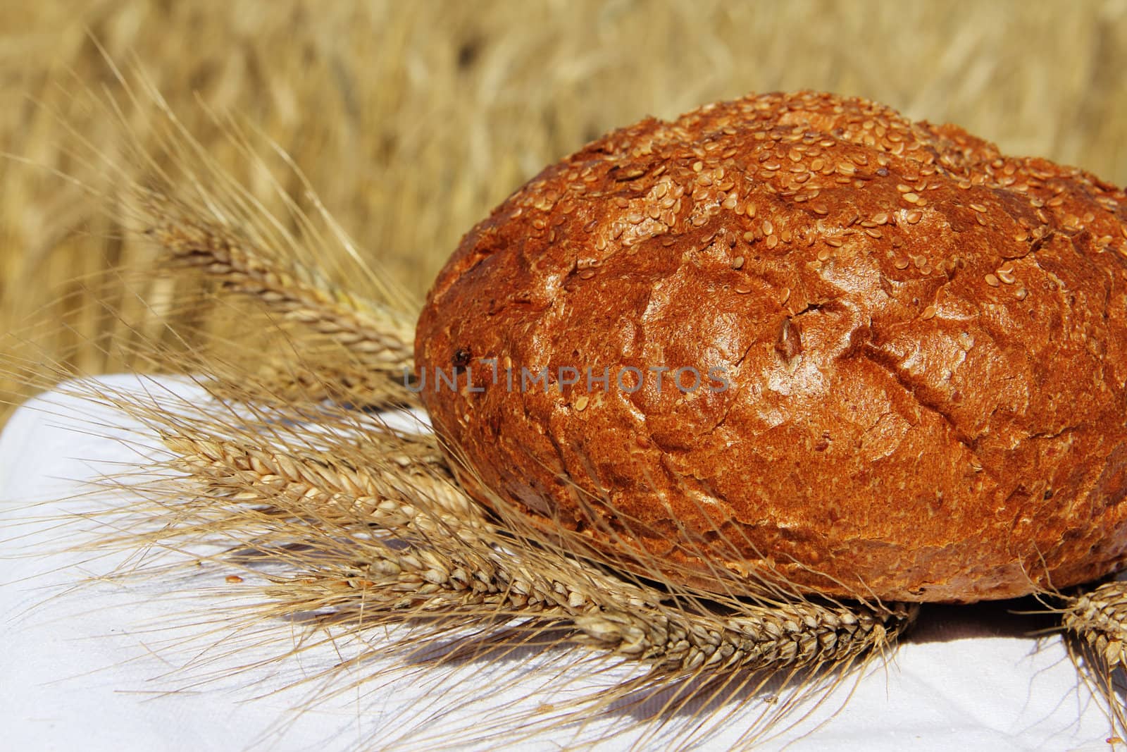 Bread and wheat outdoors natural healthy food concept