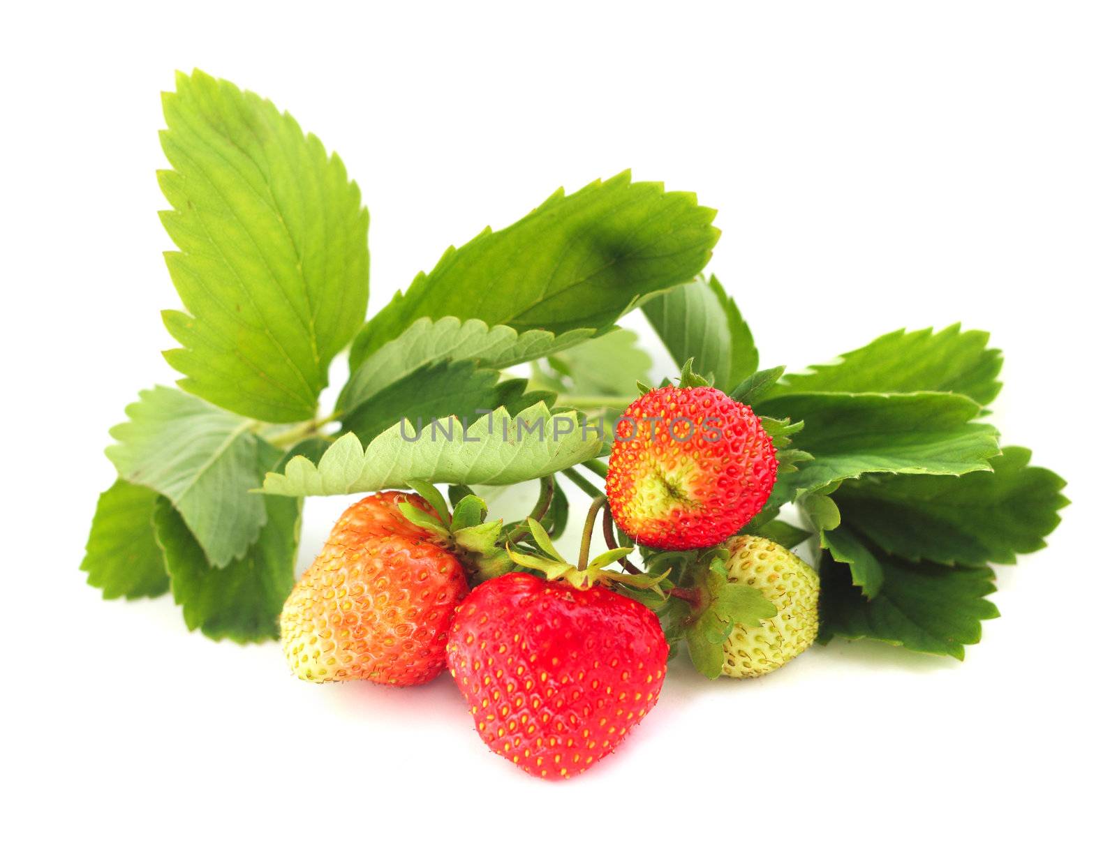 Strawberry with leaves isolated on white background