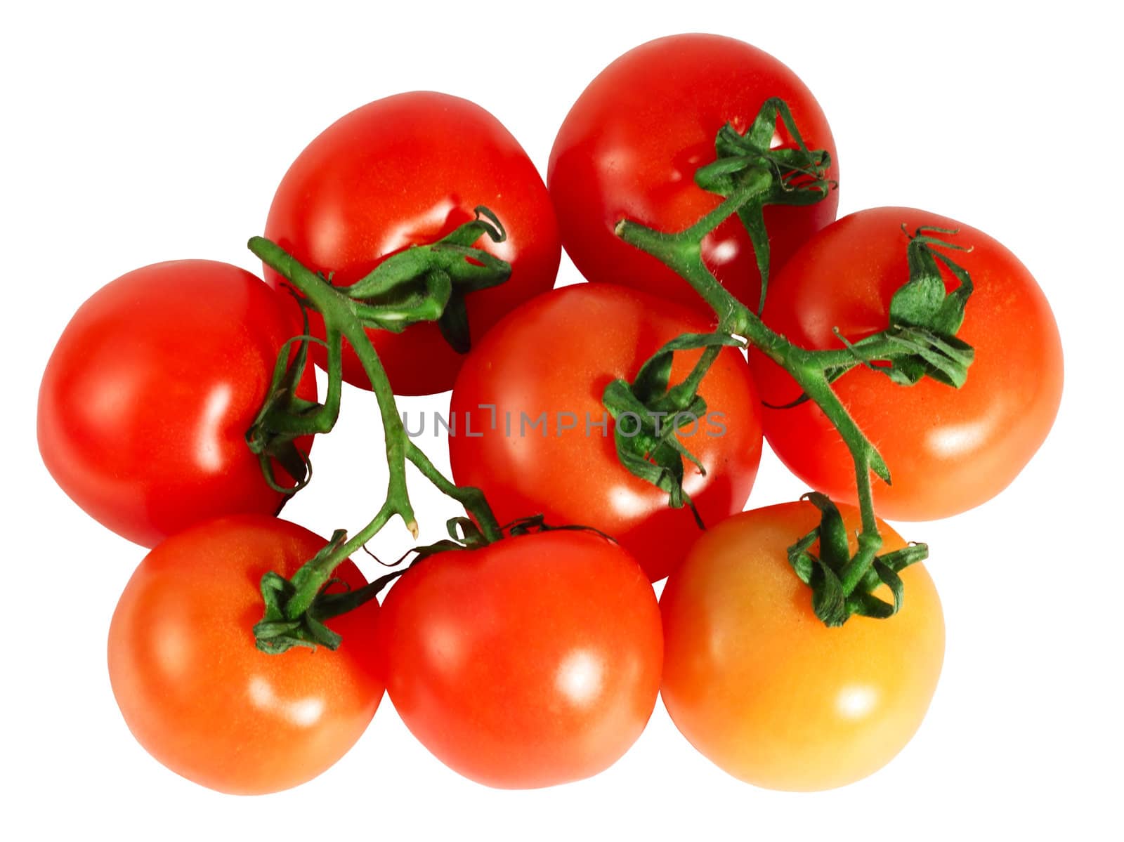 Red tomatoes on branch isolated white background