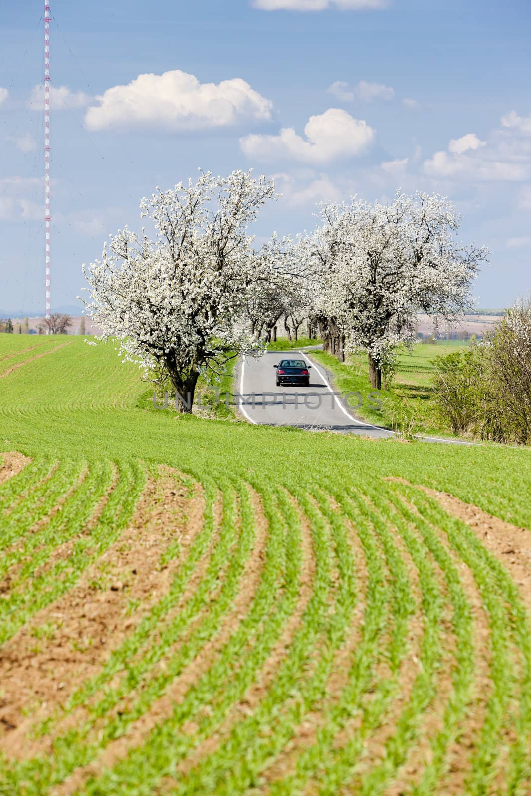 spring landscape with a road, Czech Republic