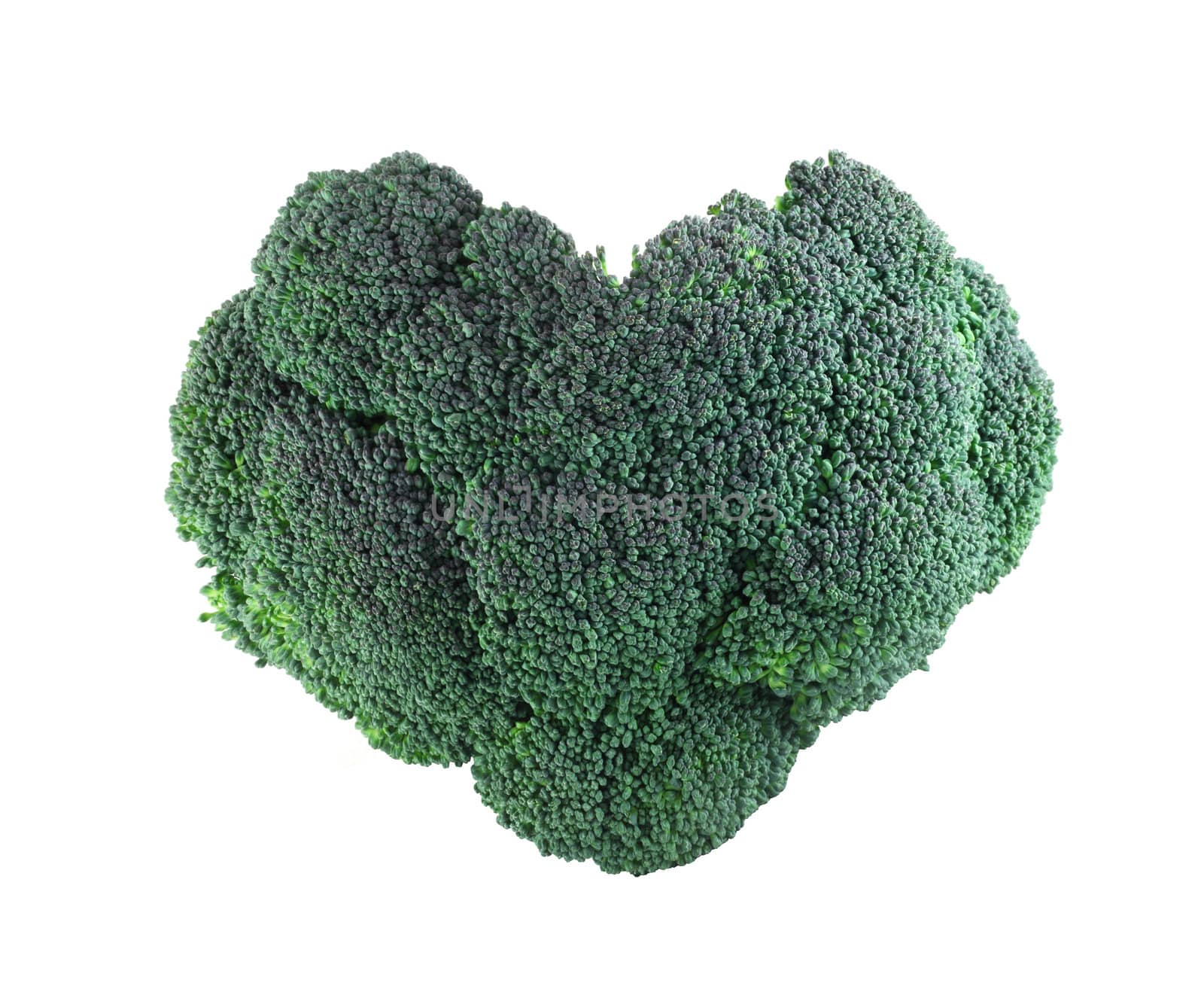 Heart shaped broccoli isolated on white background