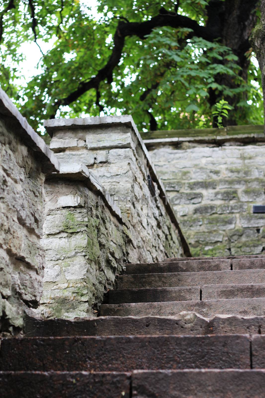 Beautiful stone stairs with moss in old Tallinn