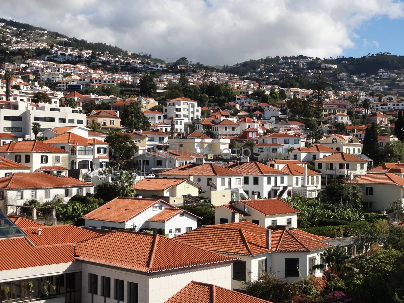 Photo of hundreds of Madeira homes