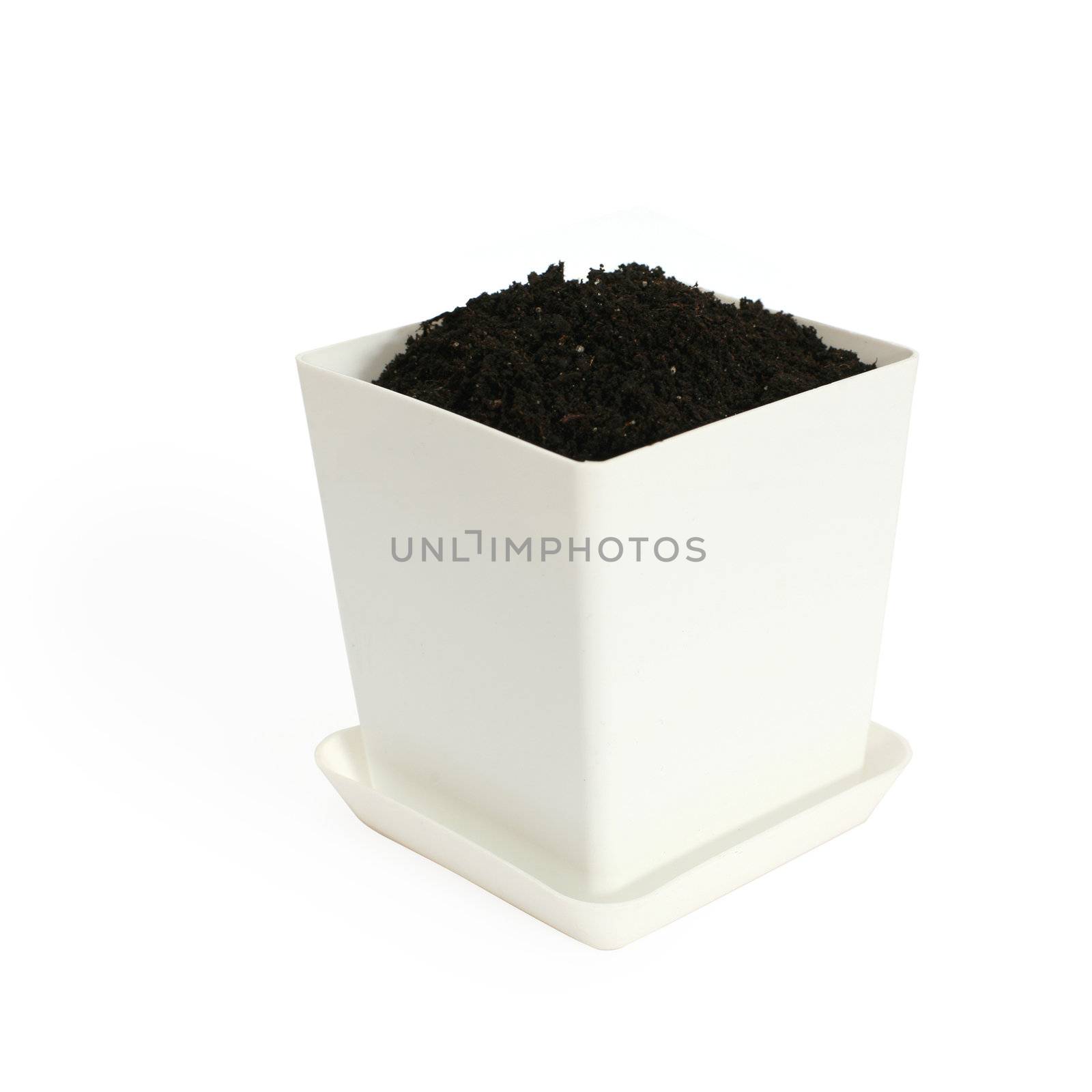 An image of a little white flowerpot