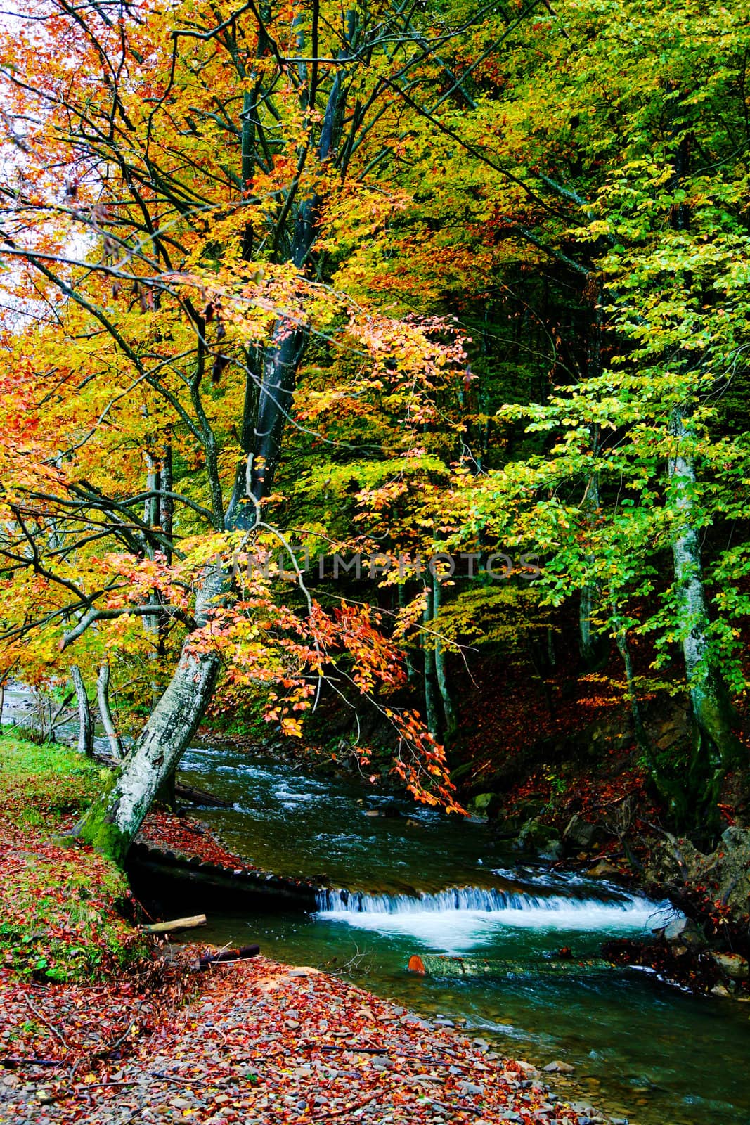 An image of river in autumn mountains