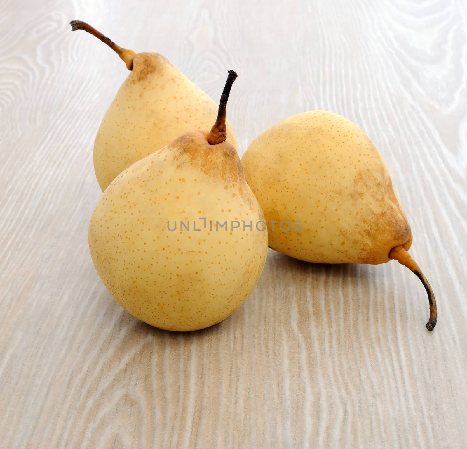 pears by Apolonia