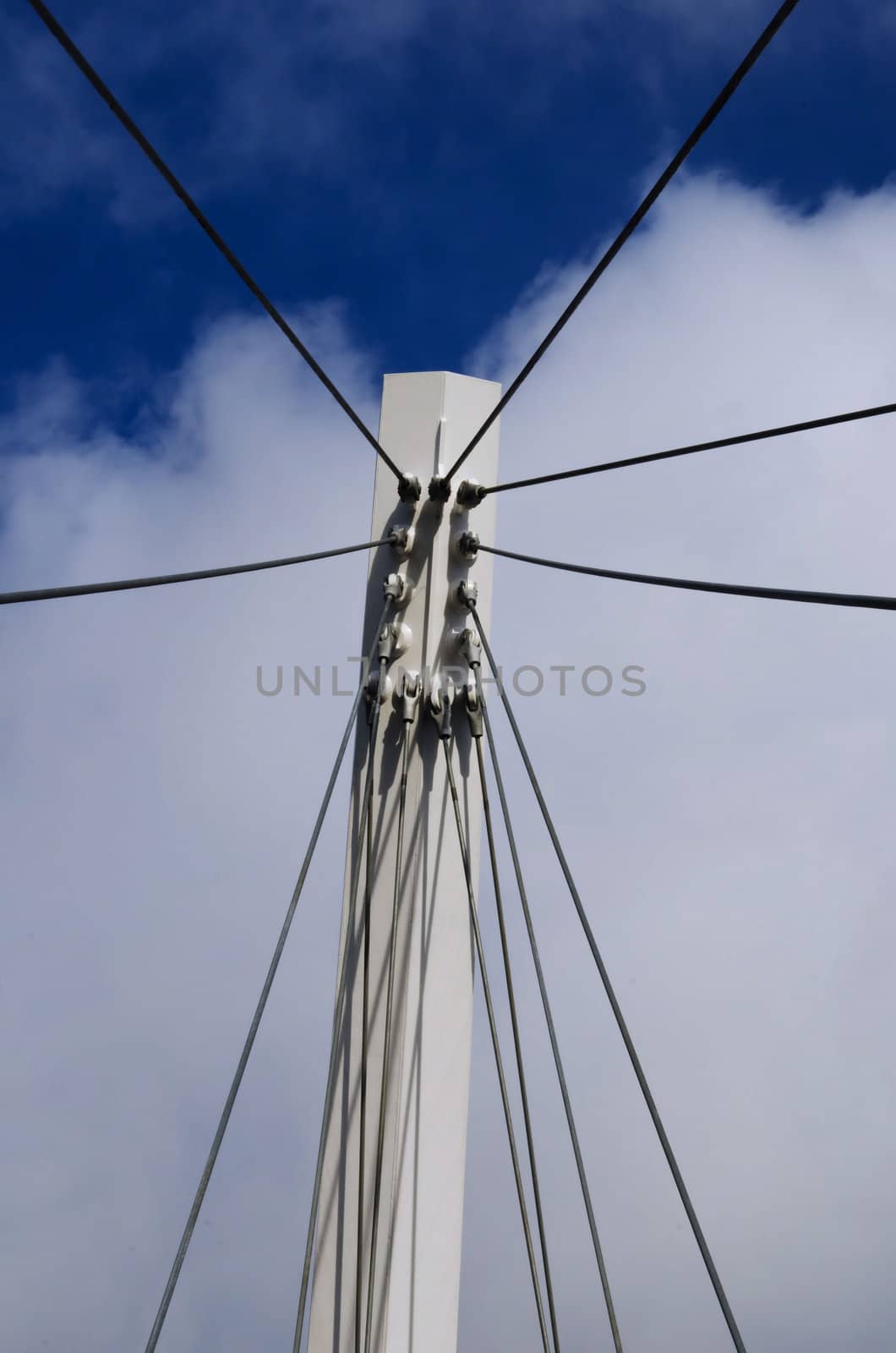 Cables supporting a suspension bridge