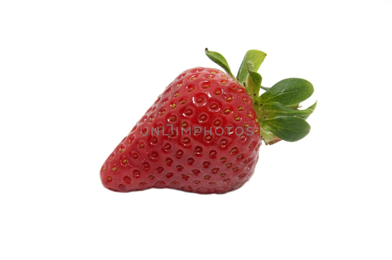 large ripe strawberries on a white background