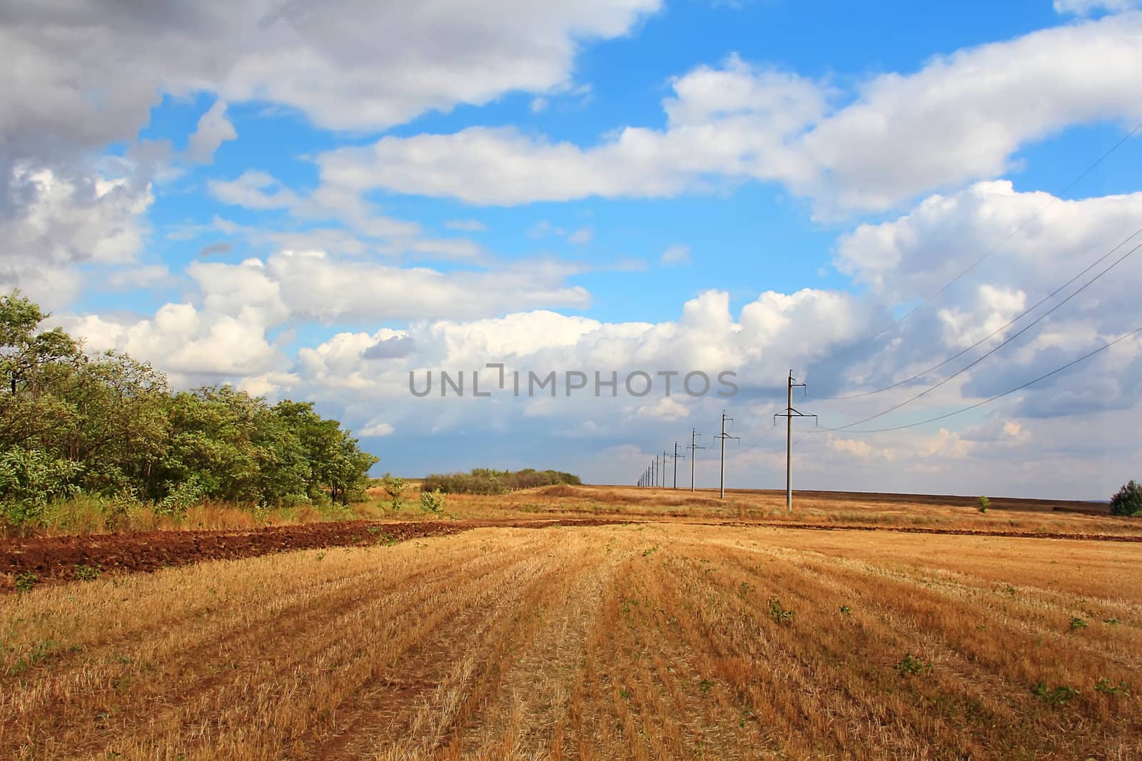 Summer landscape with field and blue sky