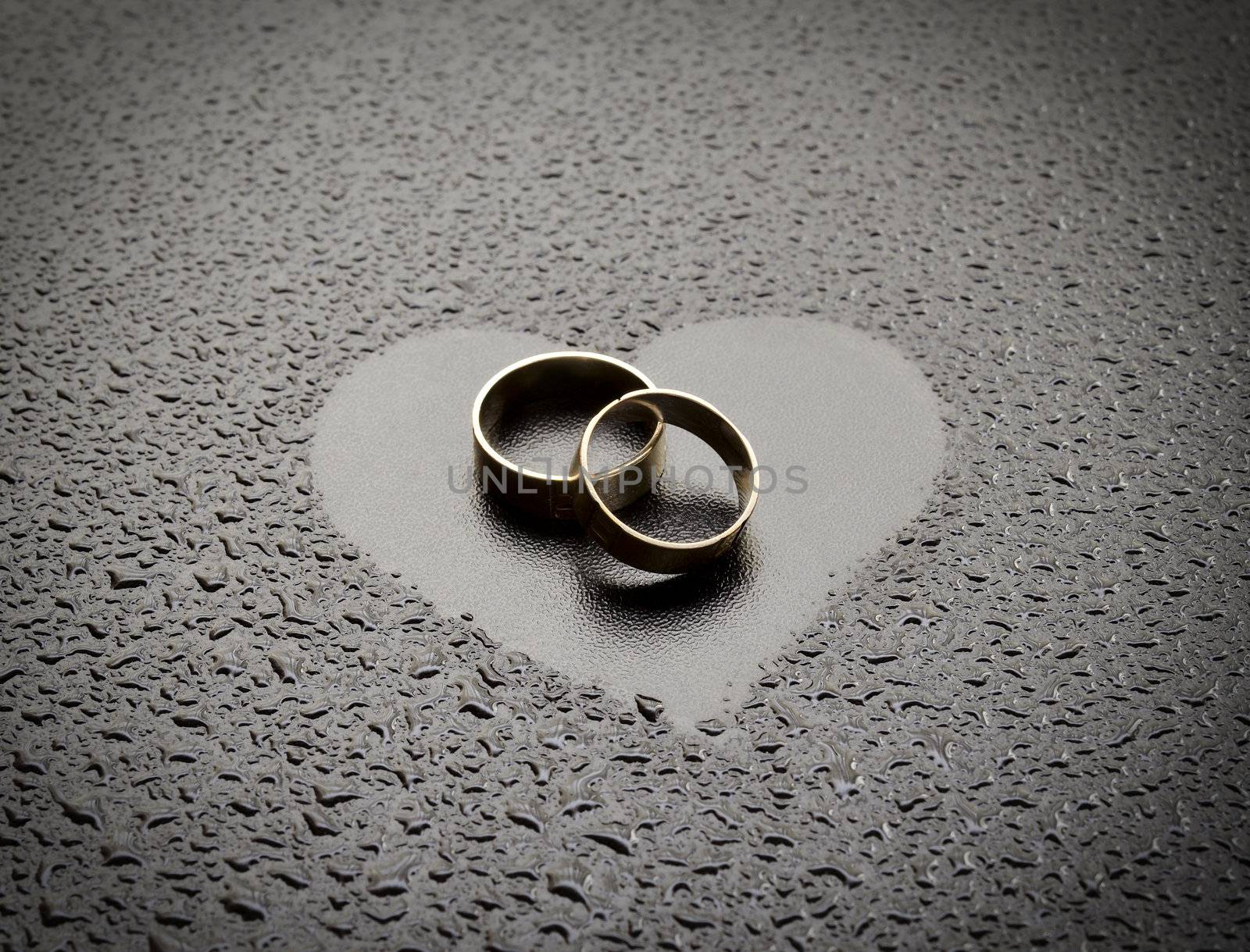 Love rings by silent47