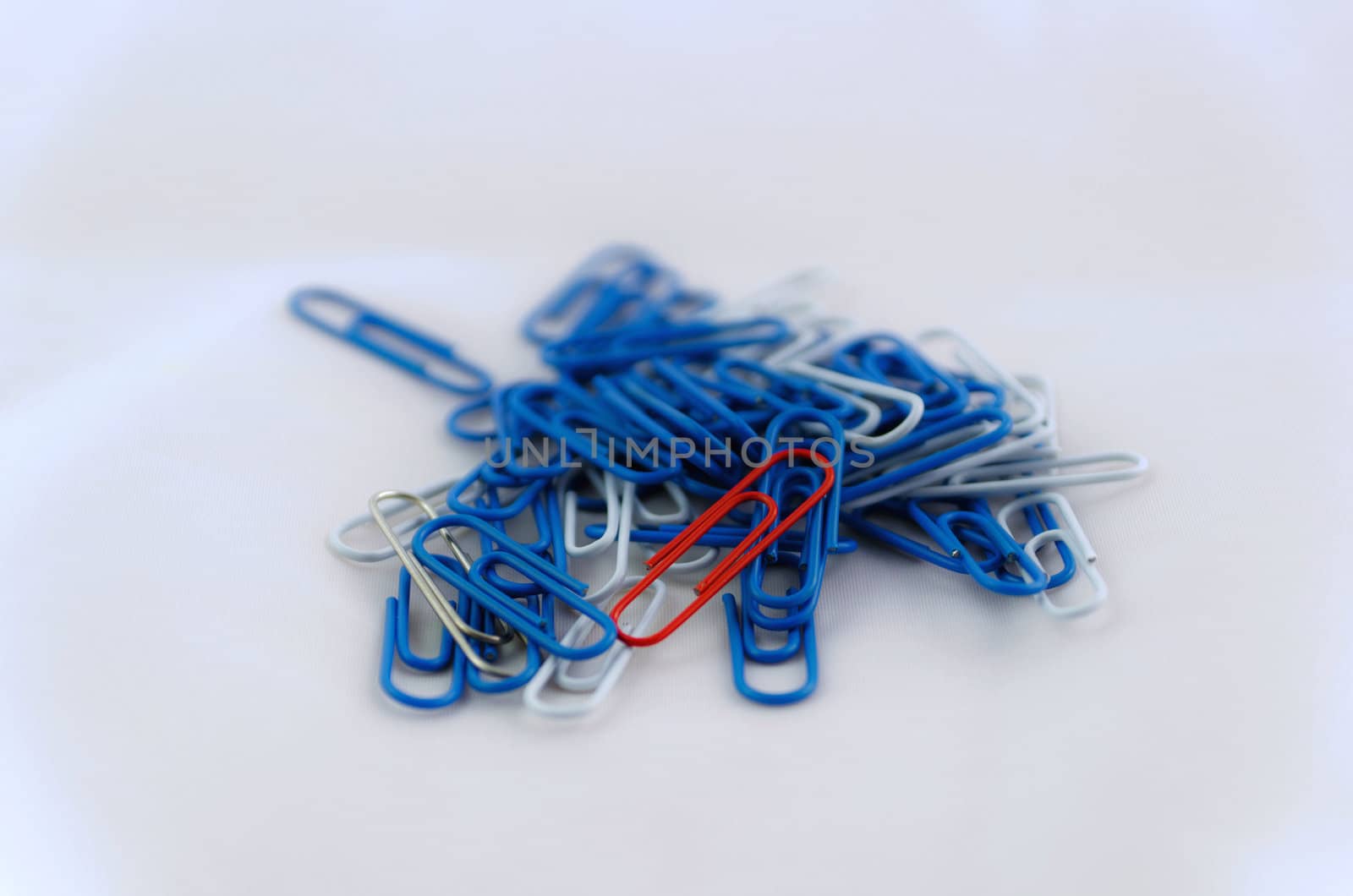 Coloured papeclips