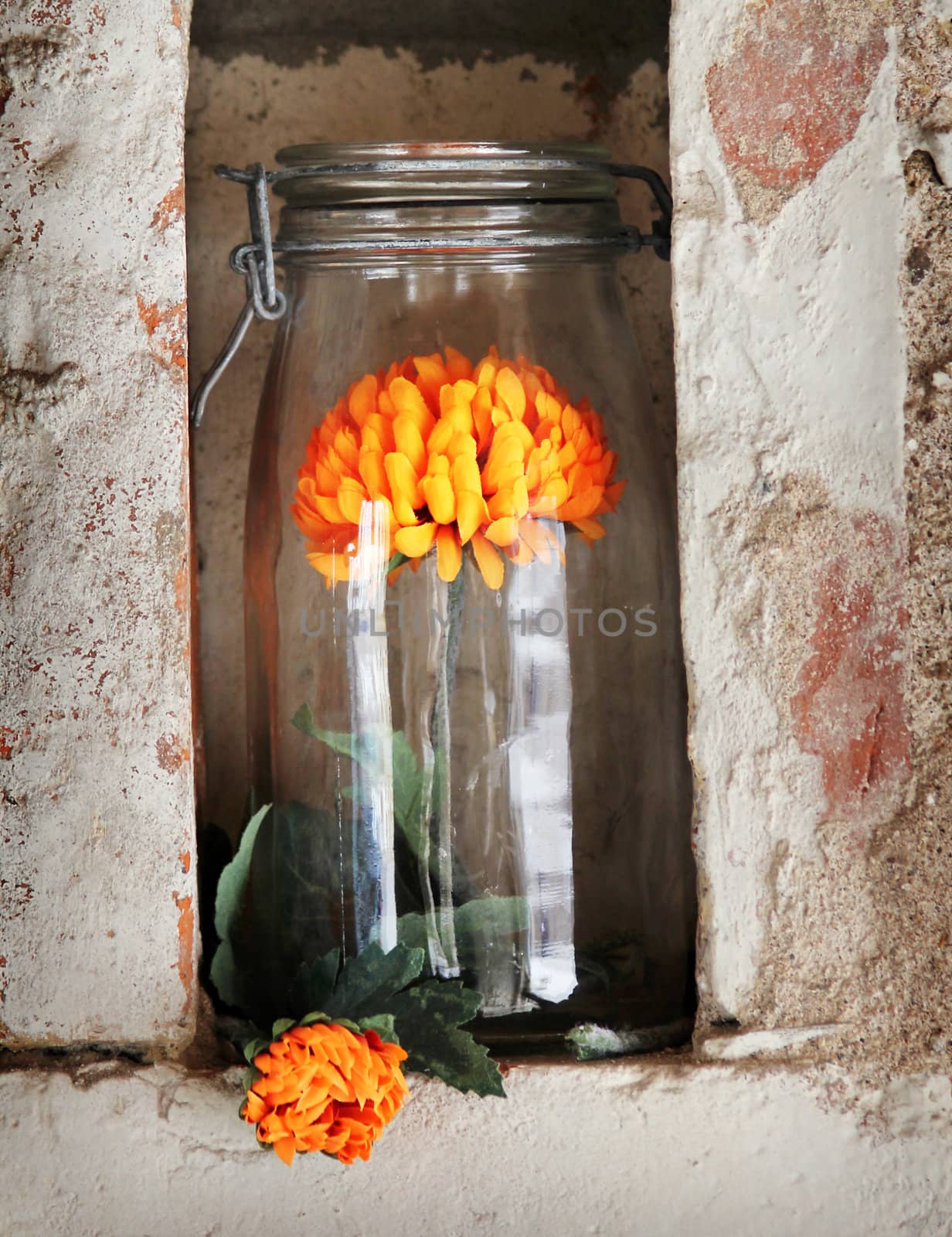 nice glass with an orange blossom standing in the tight niche