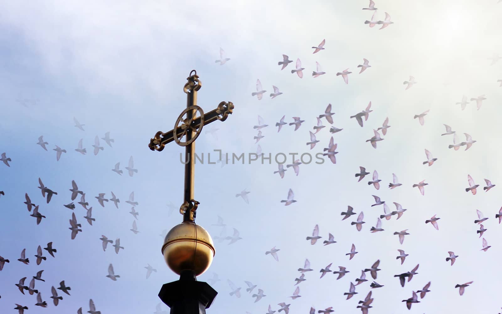 golden cross on the top of the church with many birds