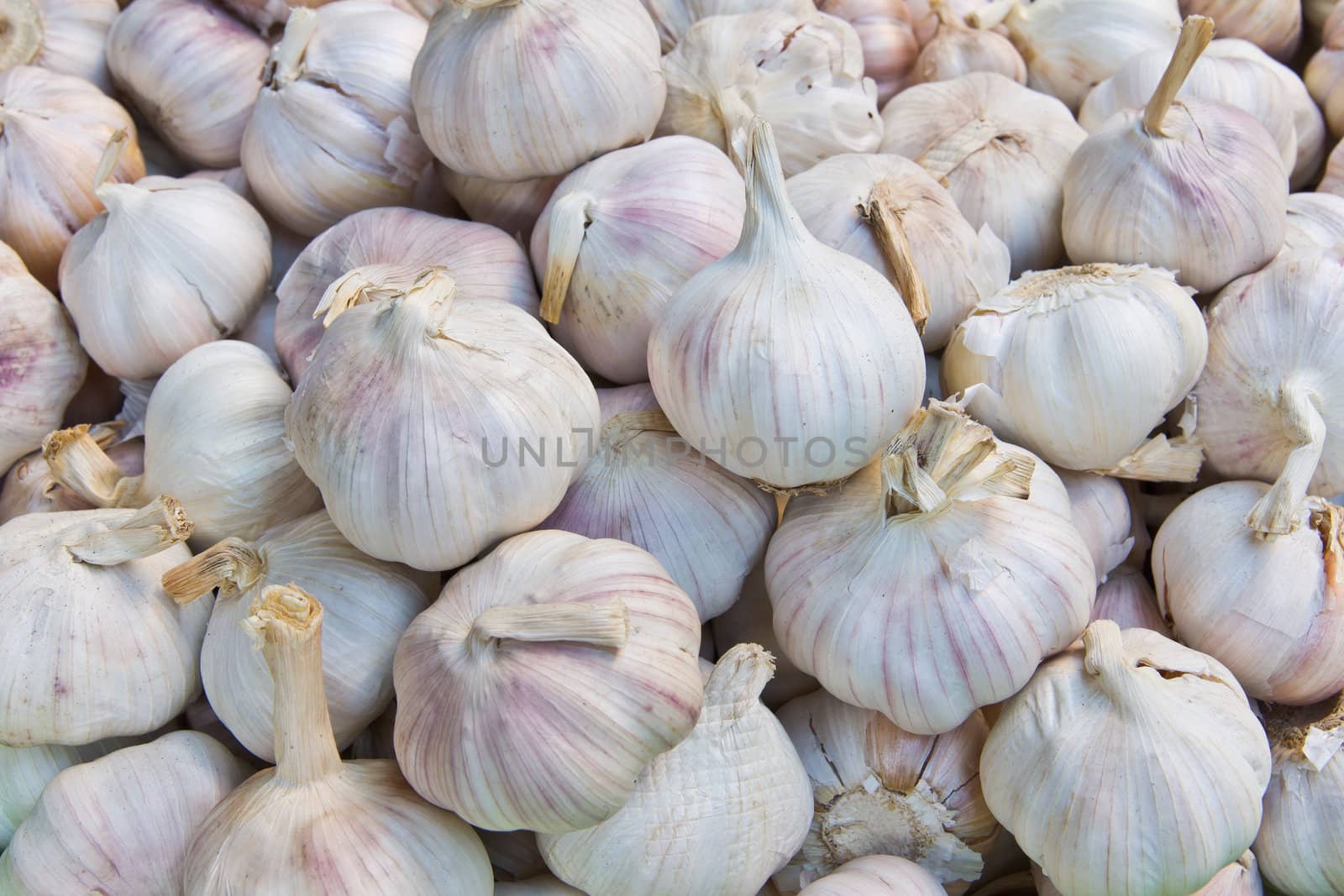 pile of garlic in market