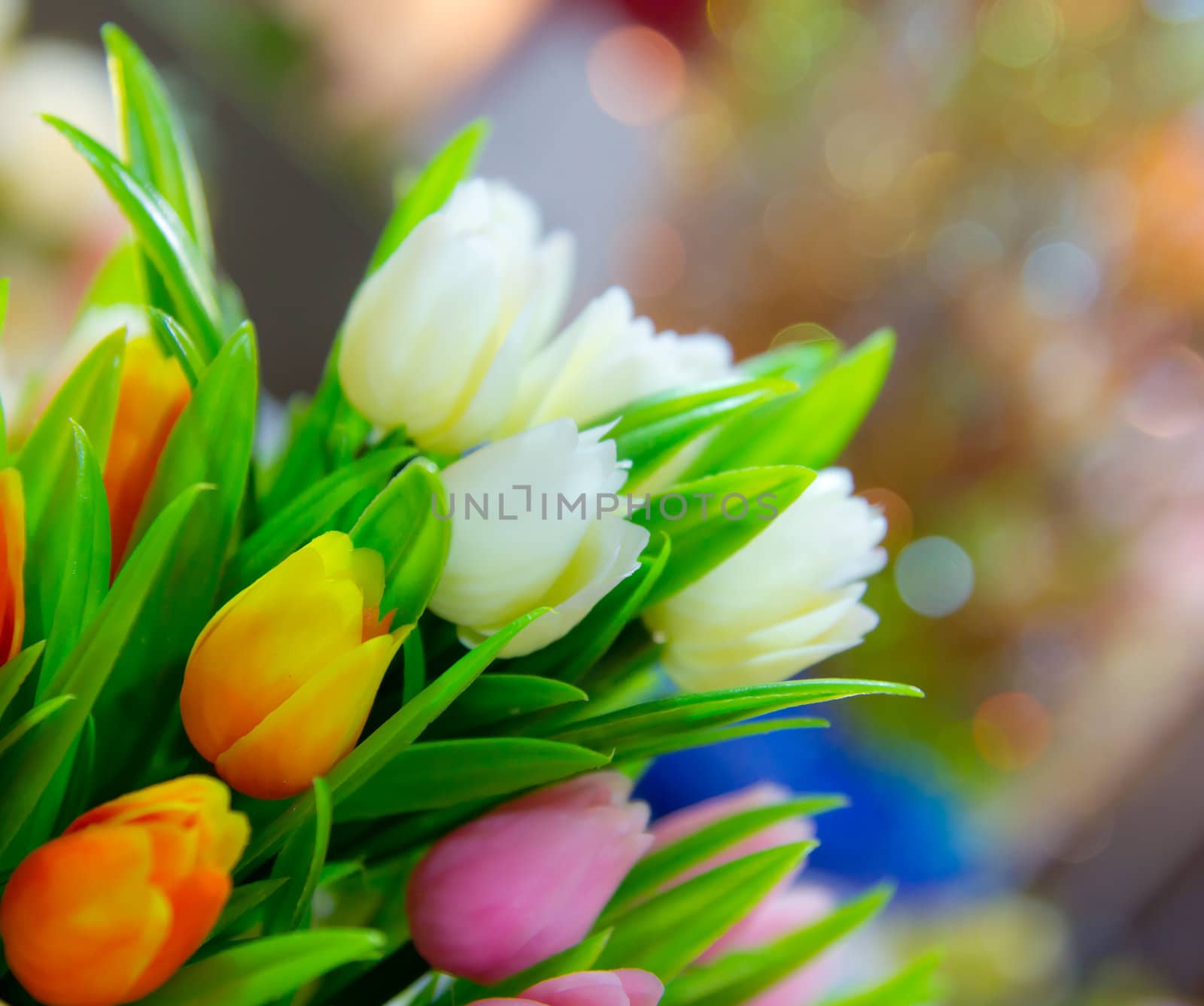 tulip flowers by tungphoto