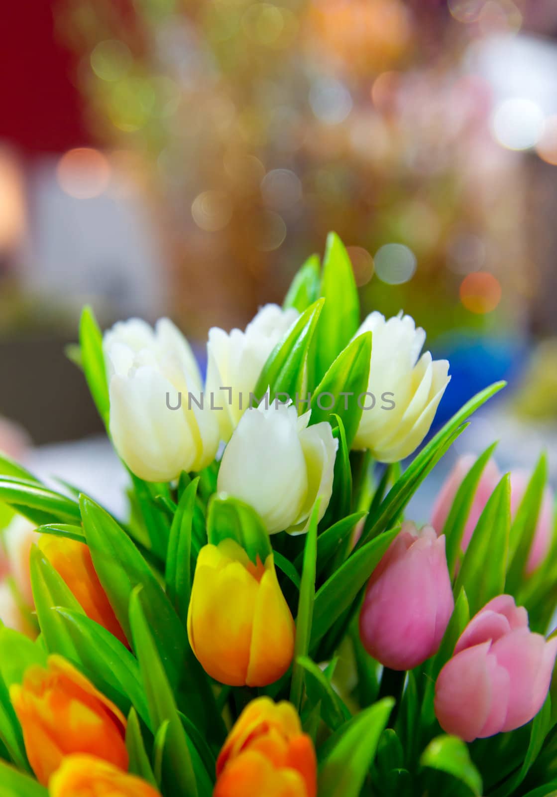 tulip flowers by tungphoto
