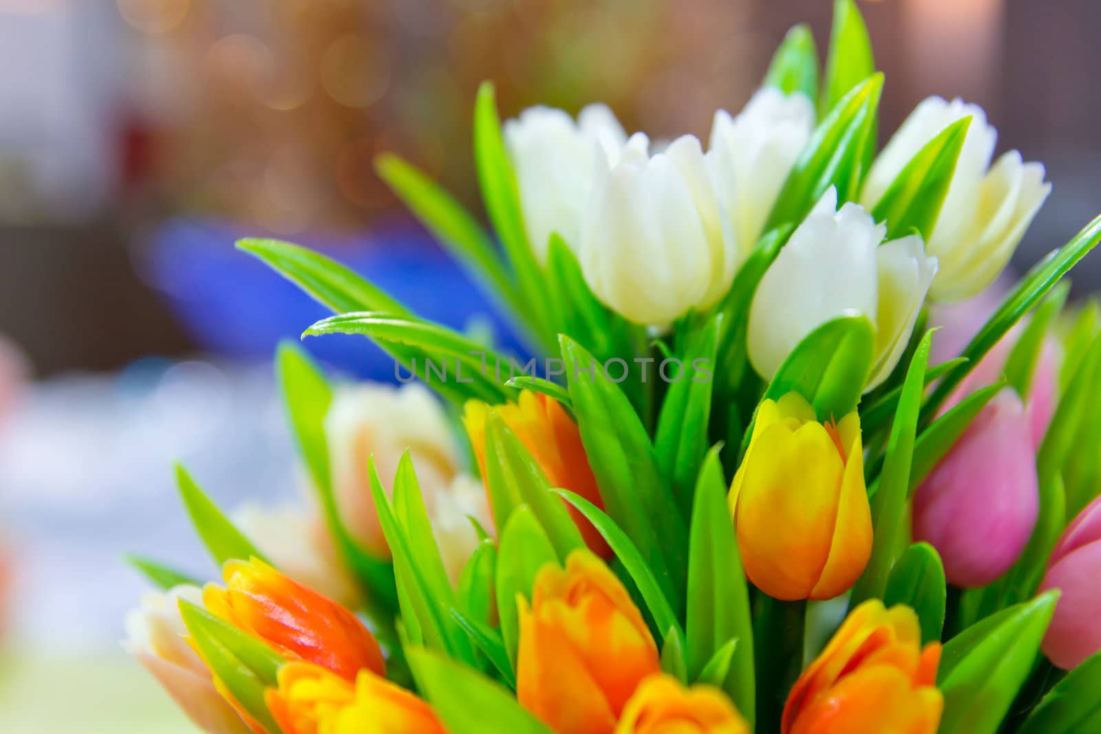 tulip flowers by tungphoto