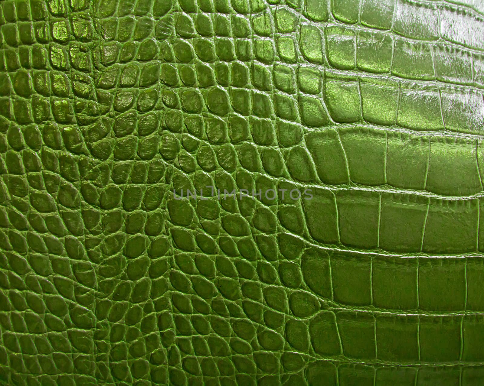 crocodile skin texture