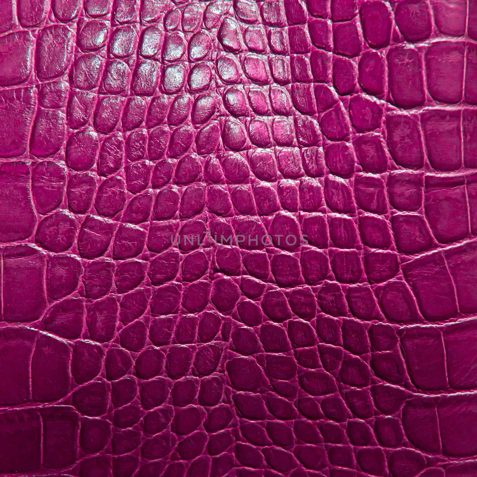 crocodile skin texture