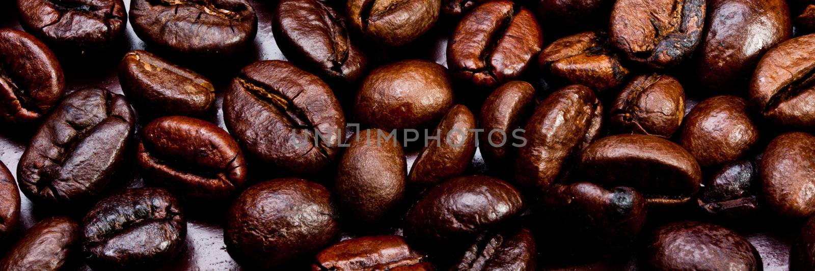 close-up of some coffee beans