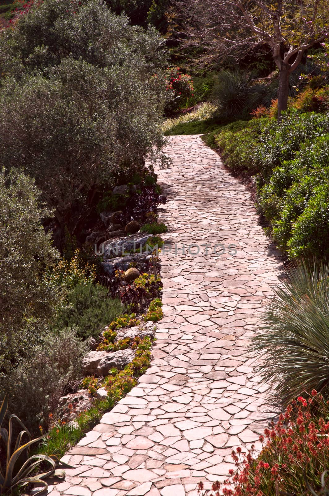 Beautiful summer garden with a walkway winding its way through .