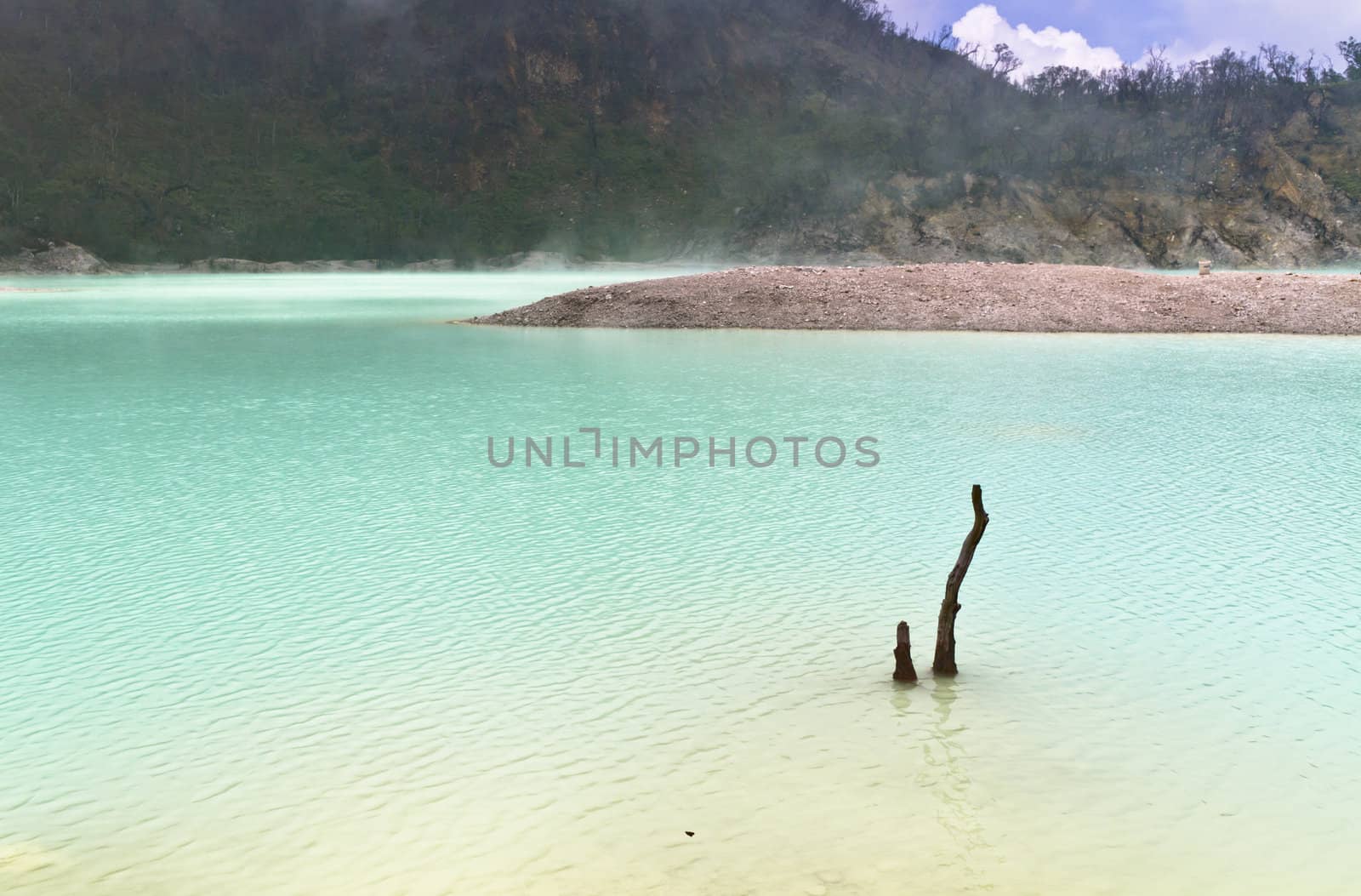 the remmnatn of dead tree in the sulphuric water of volcanic crater lake of Kawah Putih, Bandung Indonesia