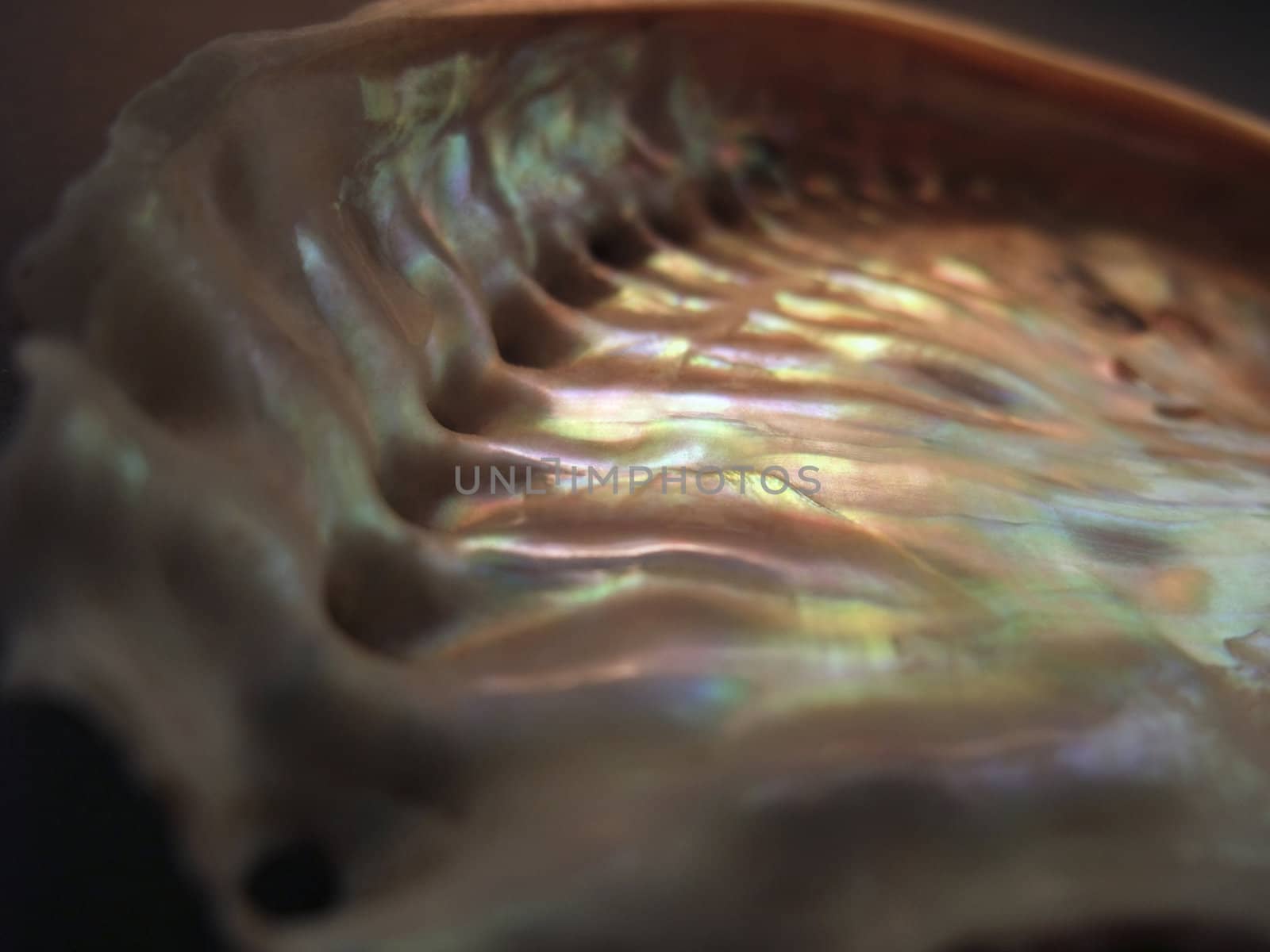 full frame abstract background showing the multicolored nacre sideof a Abalone seashell