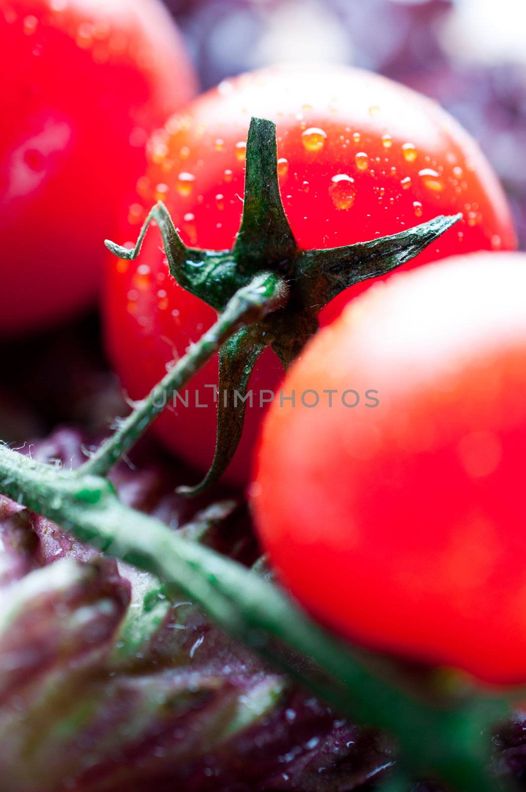 Tomatoes on lettuce leaves by Nanisimova