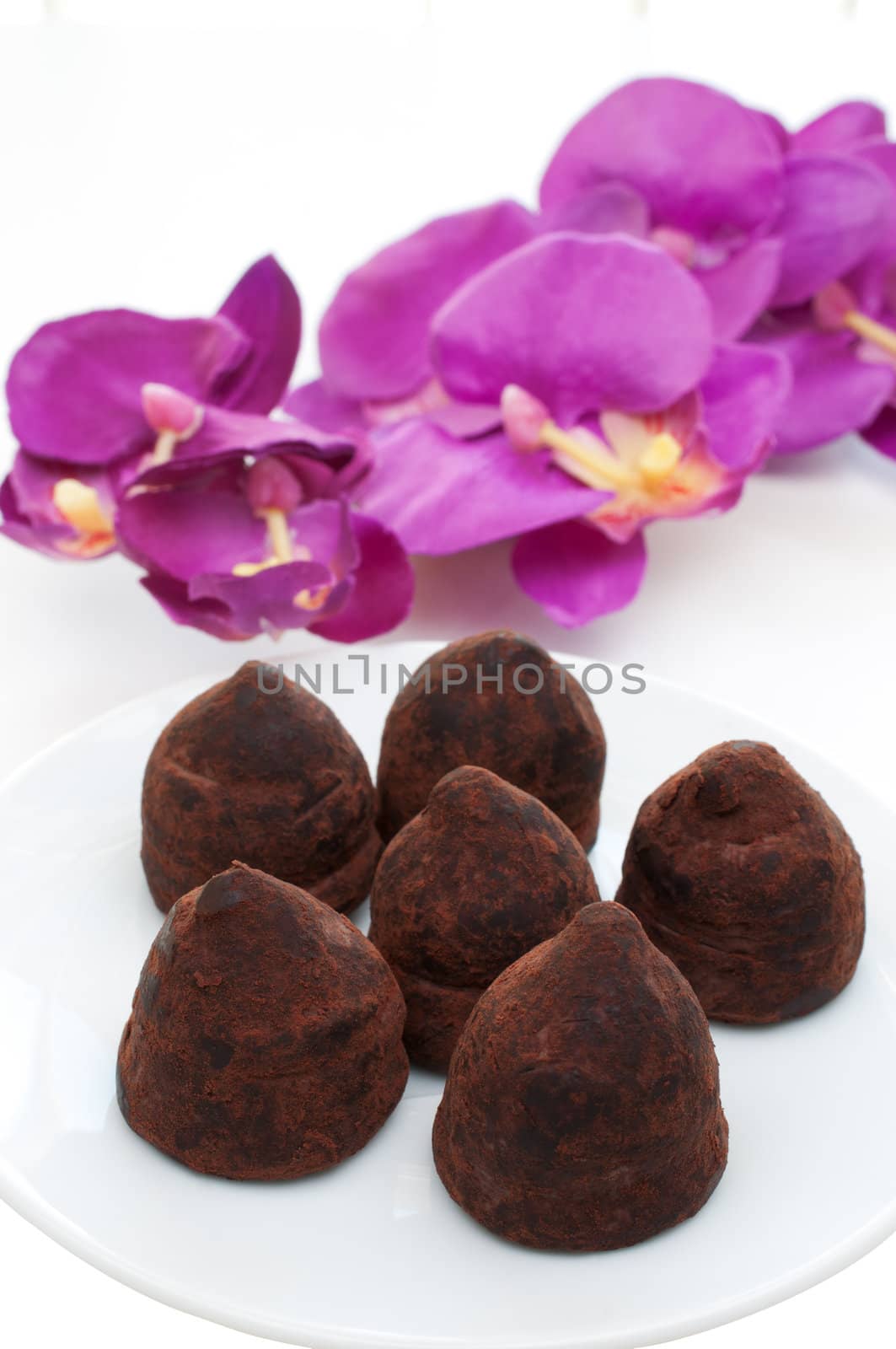 Truffle chocolates on orchids background