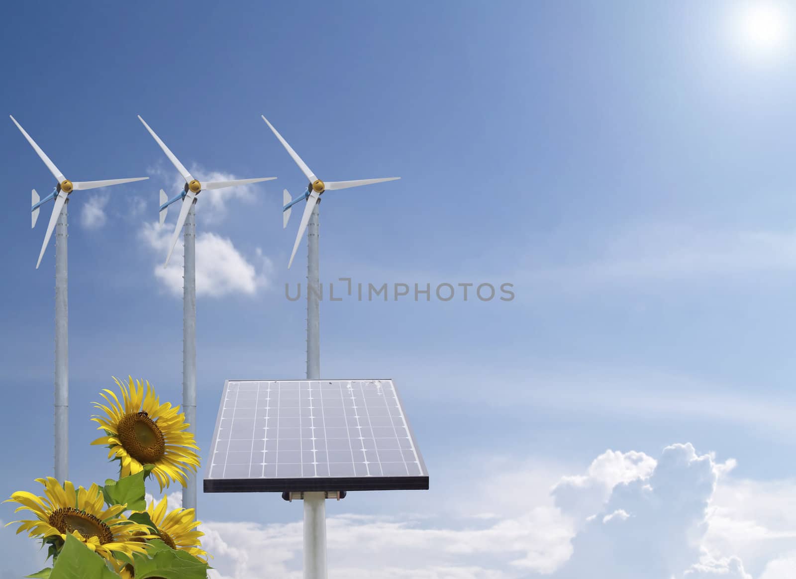 Alternative energy with sunflowers and pure fresh air