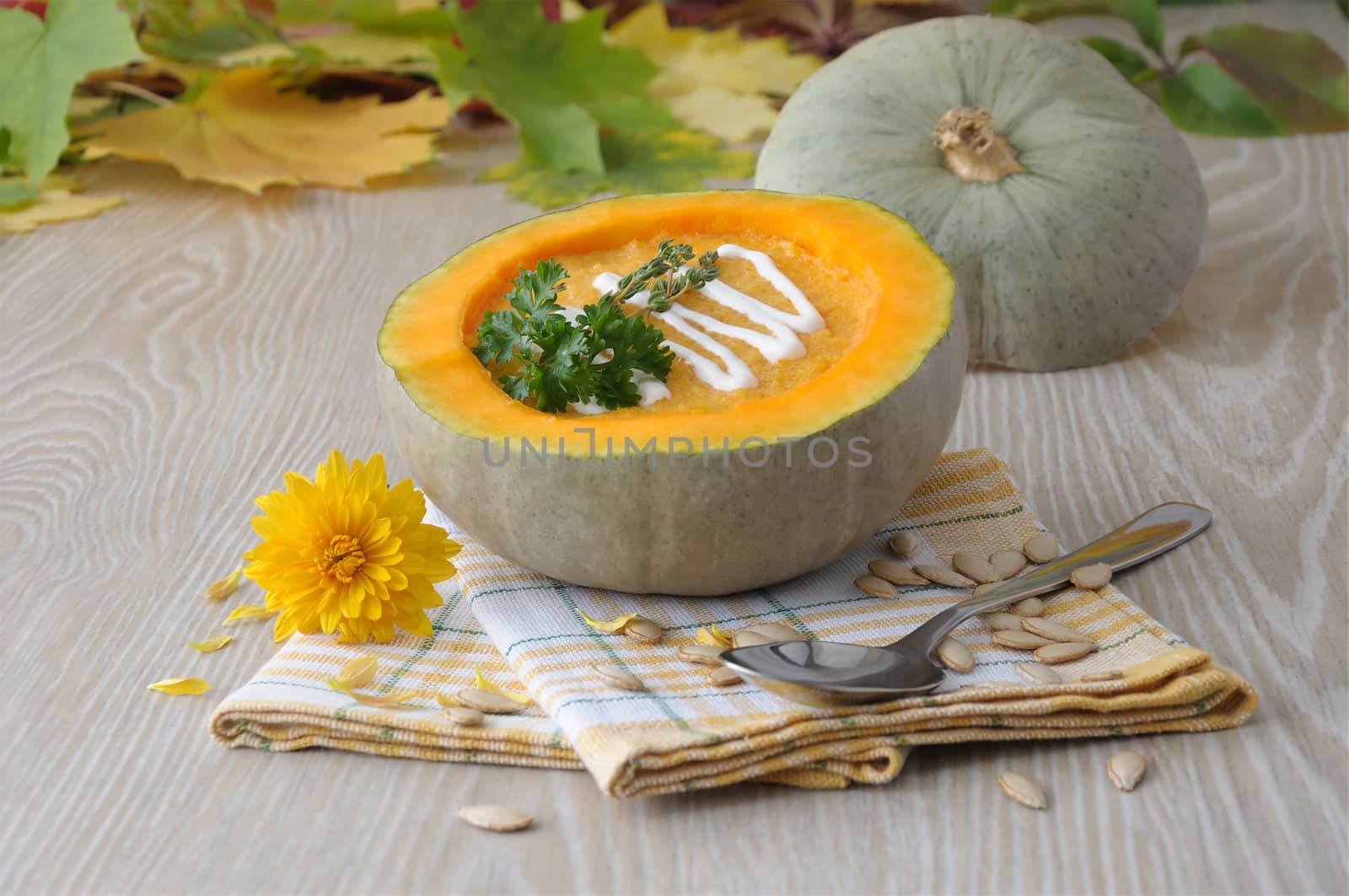 pumpkin Soup by Apolonia