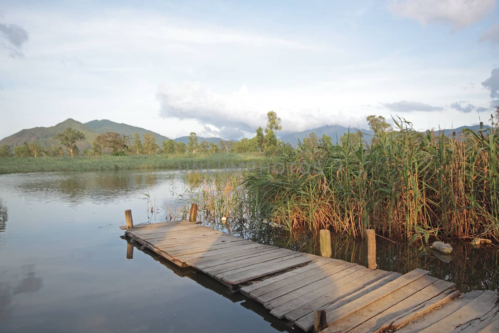Jetty on lake at day