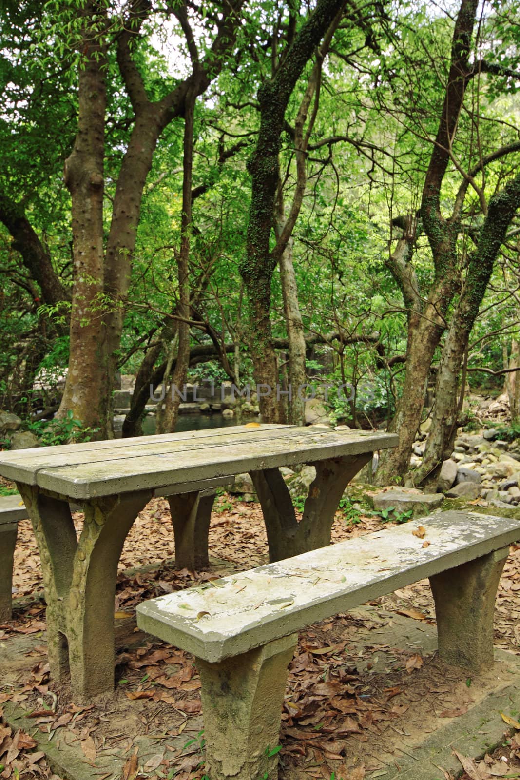 Picnic place in forest 