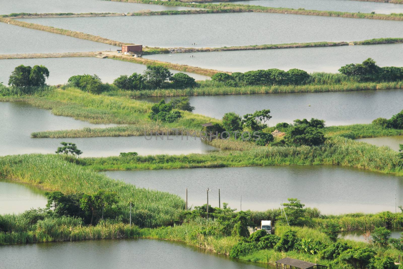 Rice terrace landscape in China 