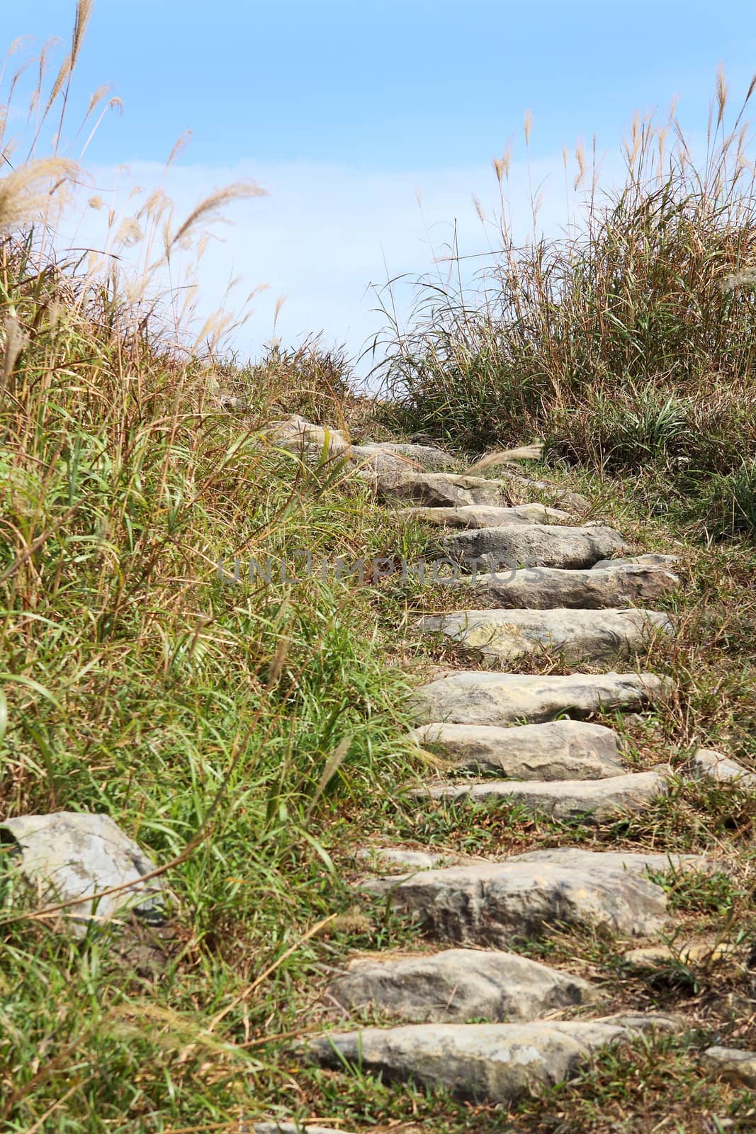 Stone path in the mountains