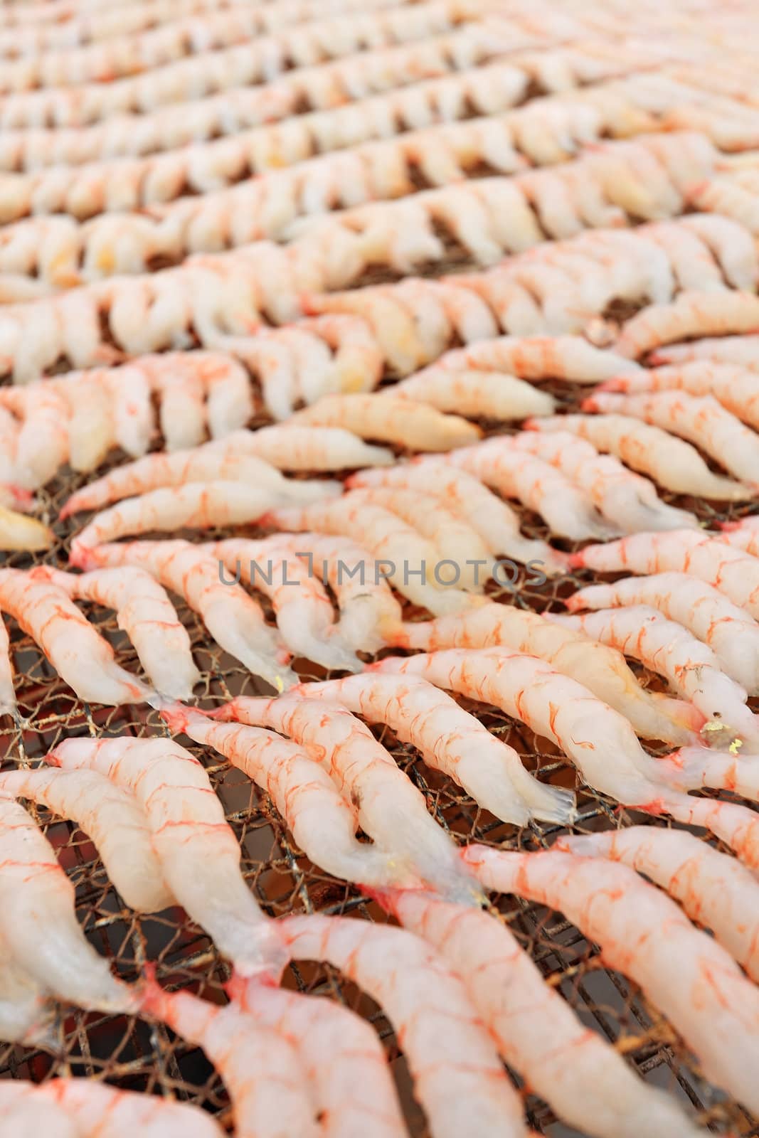 Small dried shrimp by cozyta