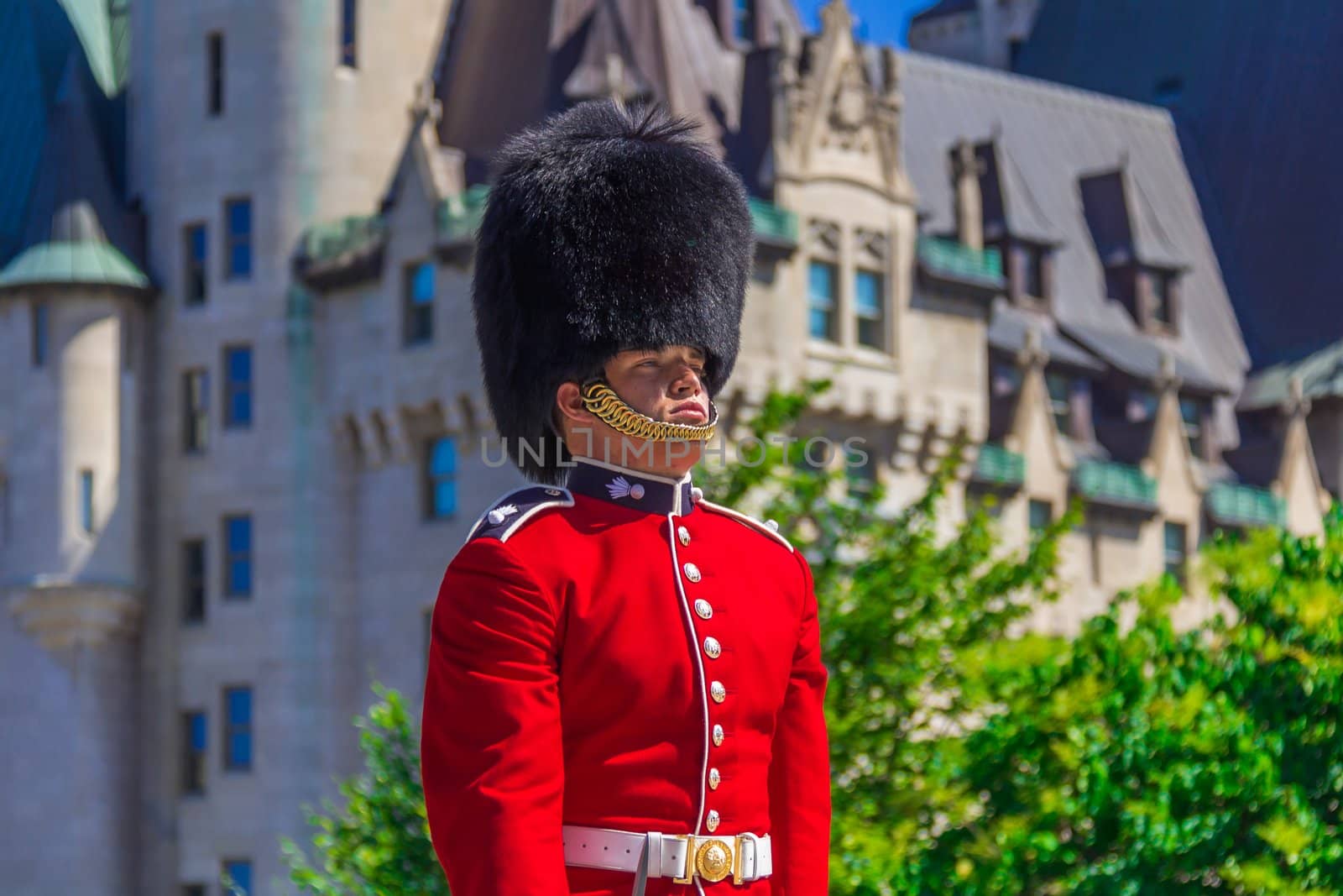 Ceremonial Guard by petkolophoto