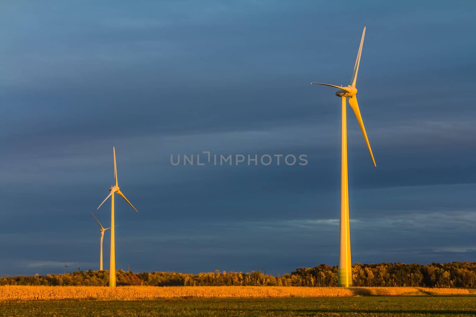 Wind turbine in a field in the evening, producing wind, Canada