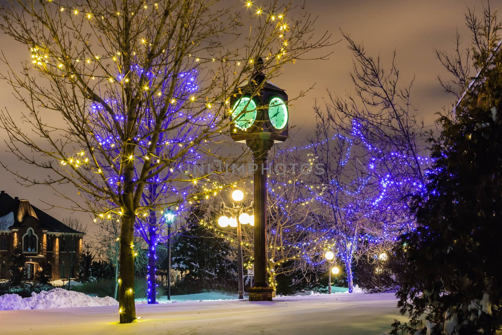  A beautiful old style green clock beside some amazing trees in a cold winter night in Quebec, Canada
