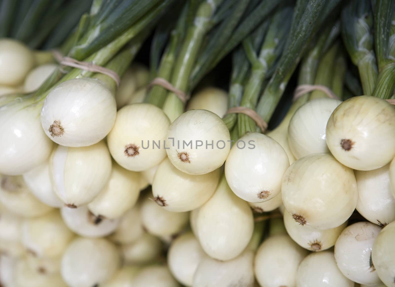 Fresh Onion by gemenacom