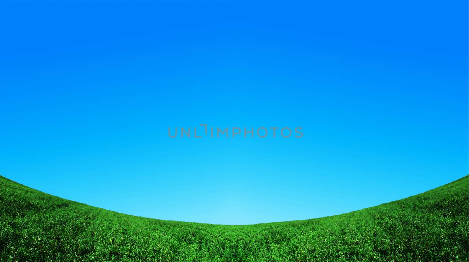 green field and blue sky background