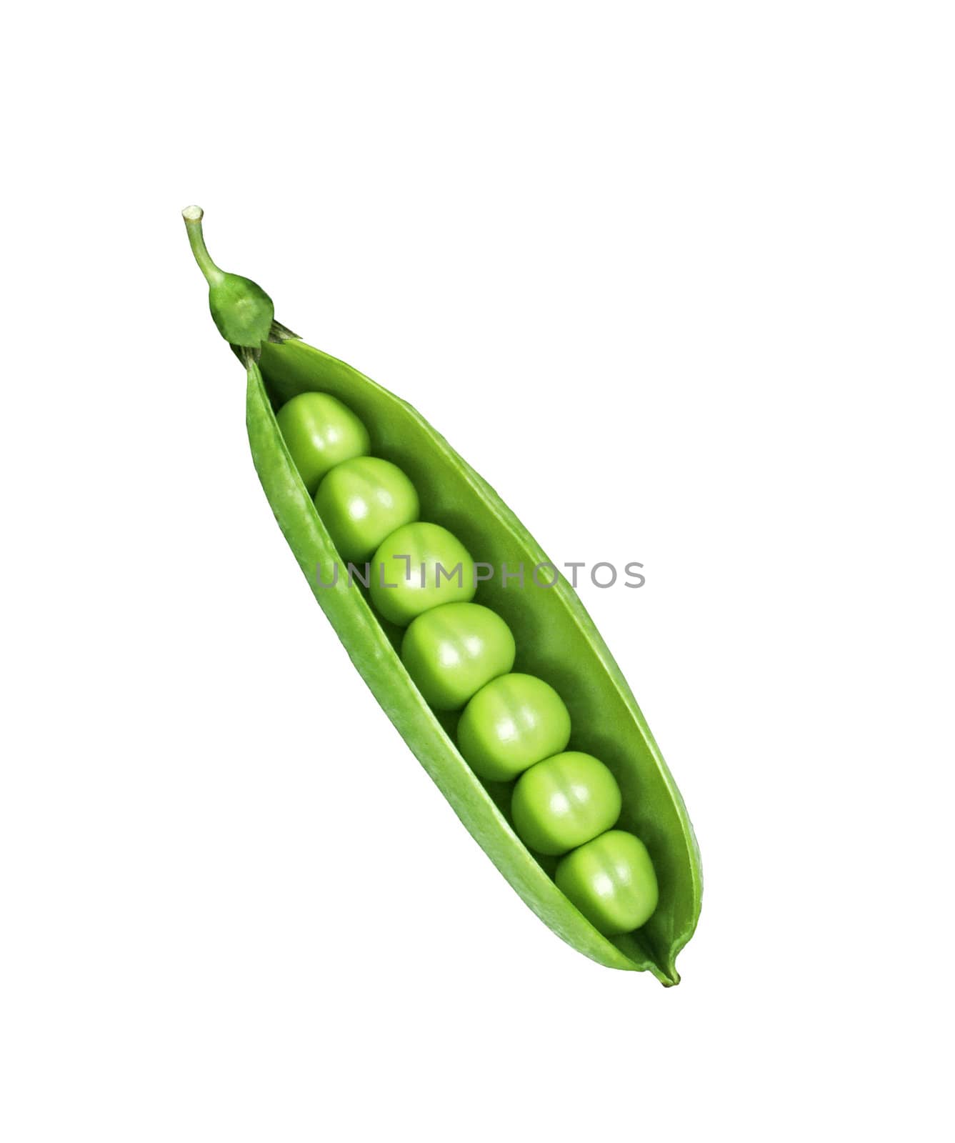 peas isolated on white background