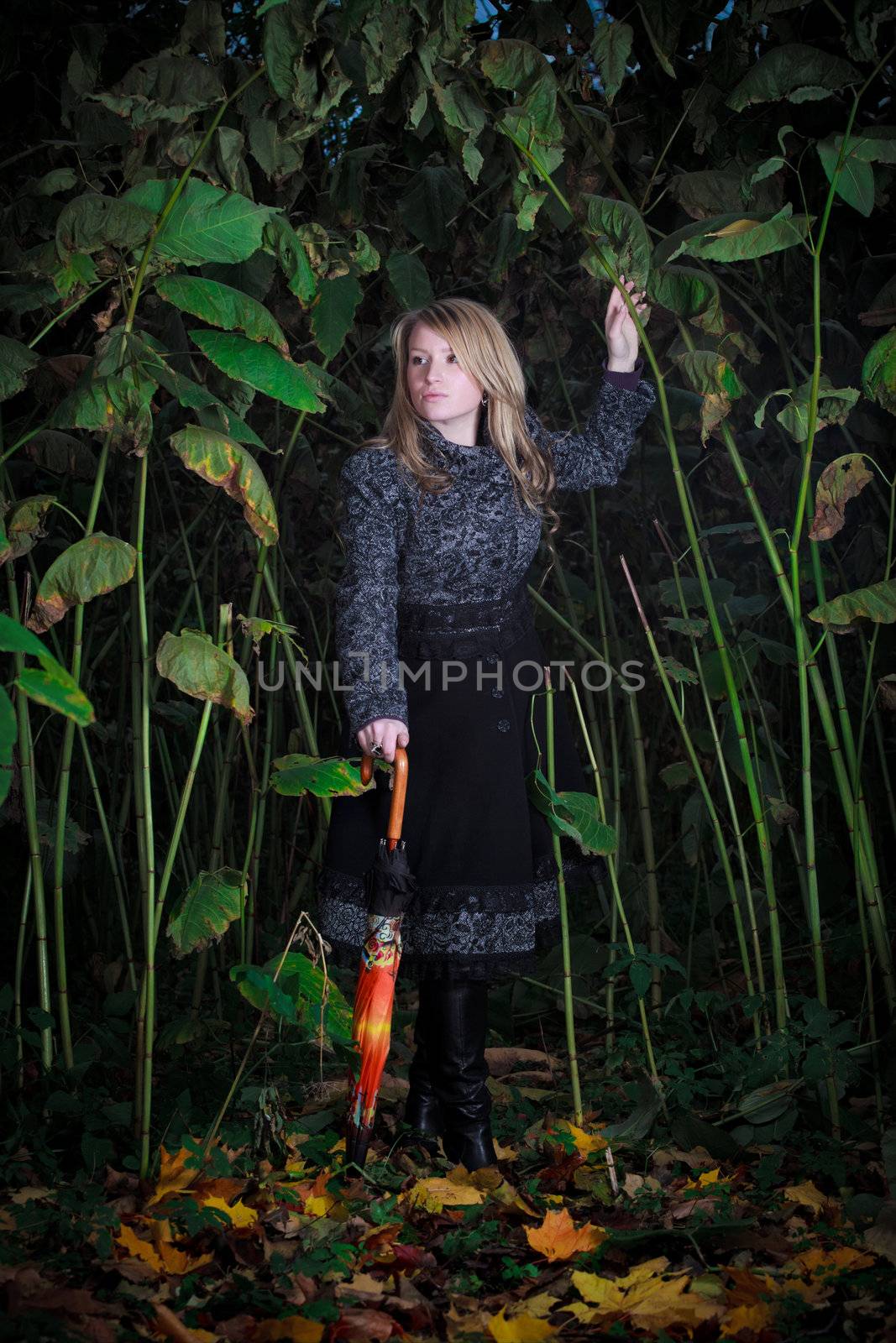 girl walk in enchanted forest by petr_malyshev
