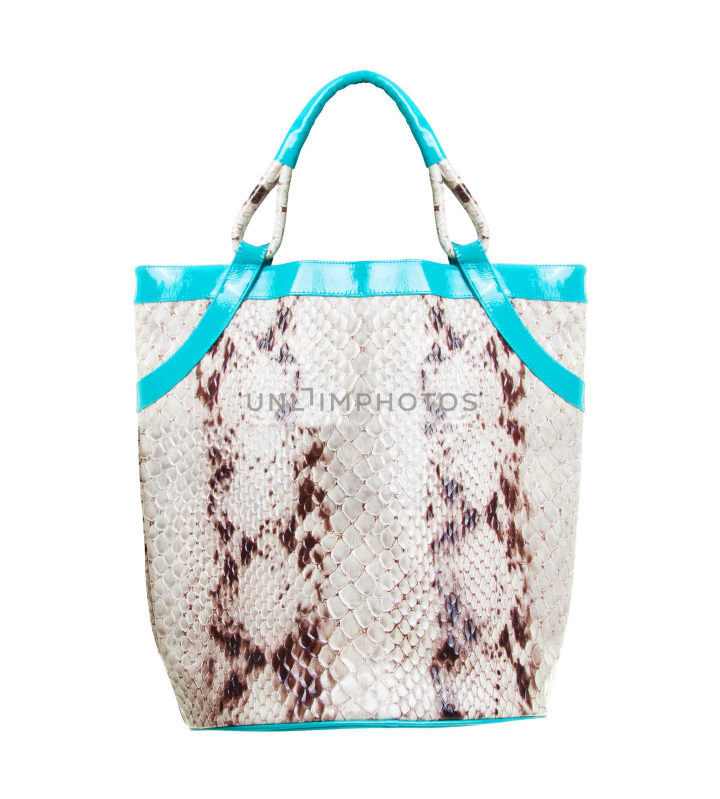 Stylish woman's handbag from crocodile isolated on white