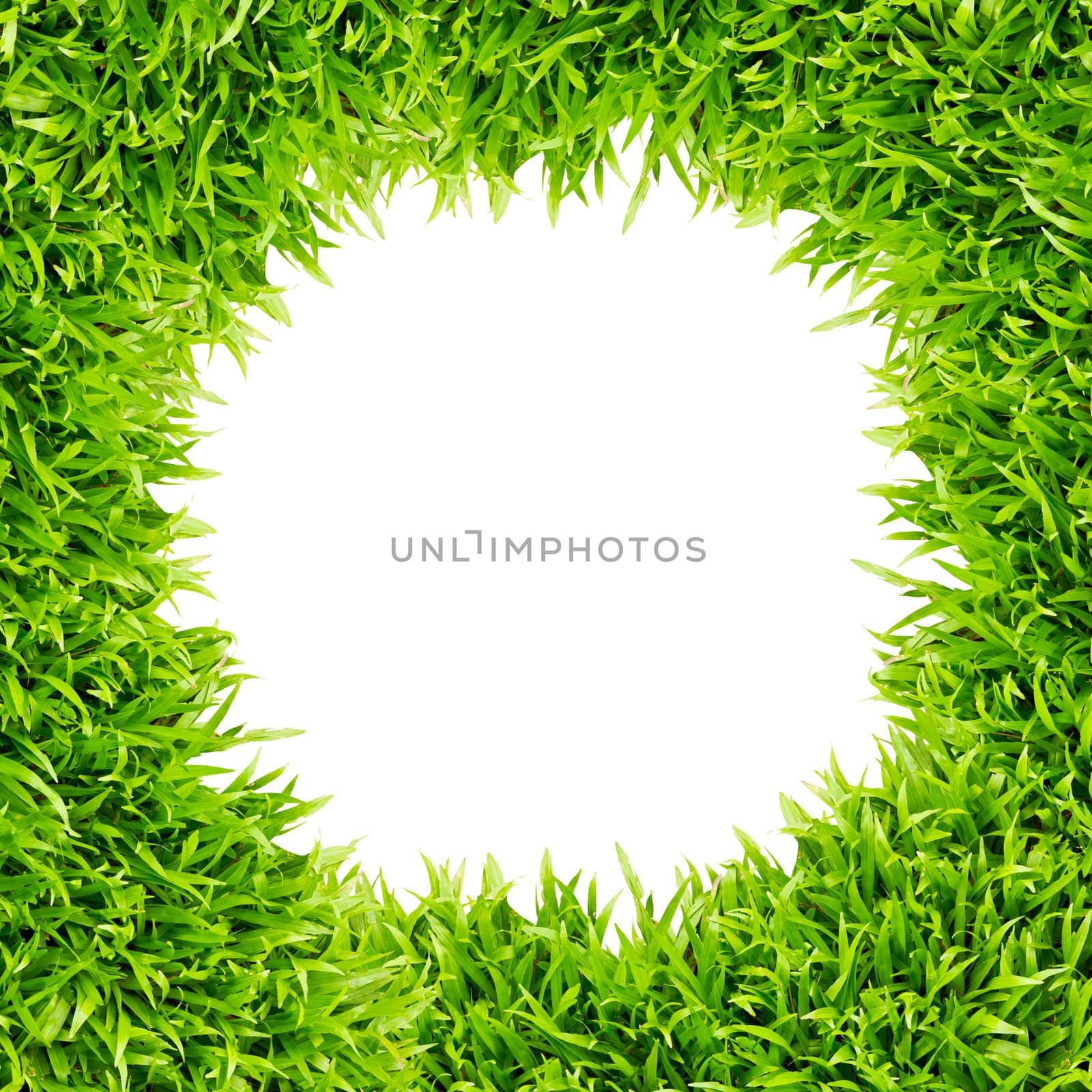 green grass frame isolated on white background by tungphoto