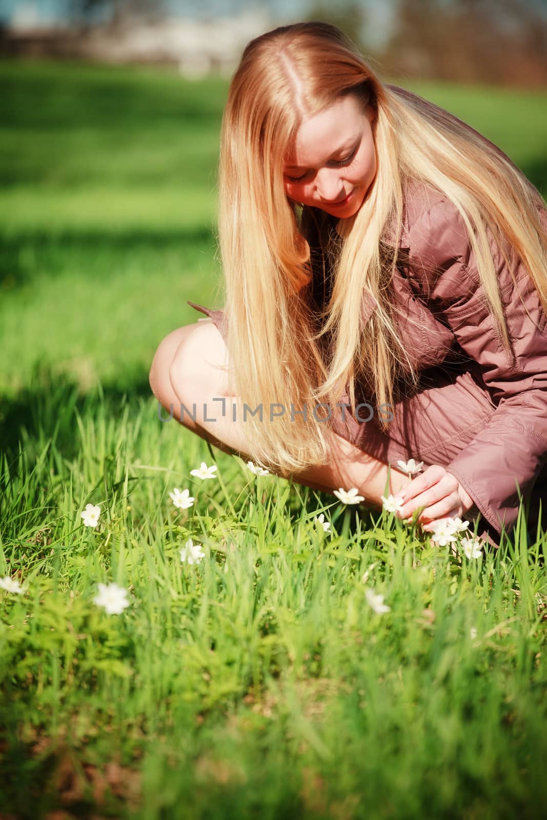 beautiful woman picking flowers in spring park